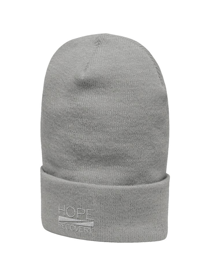 Cuffed Beanie product image (2)