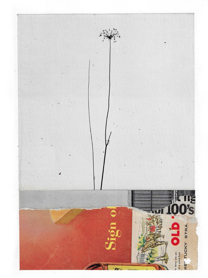 the answers to human problems product image (1)