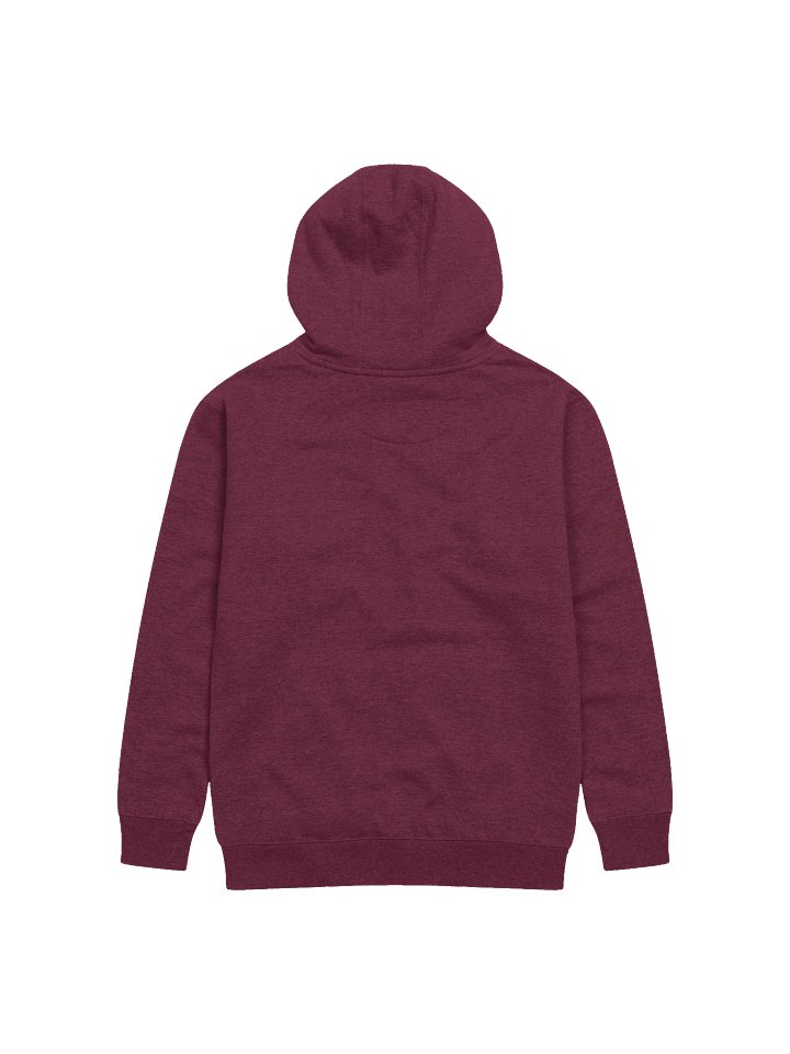 FTB Hoodie product image (14)