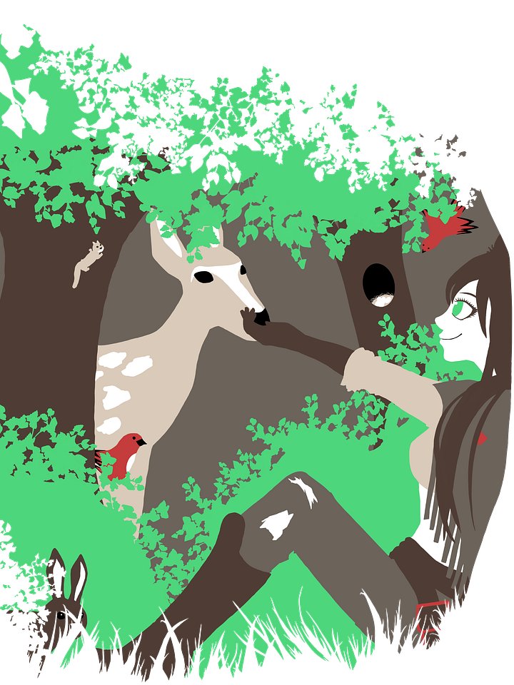 Arknights Meteor: Forest Friends .kra file product image (1)