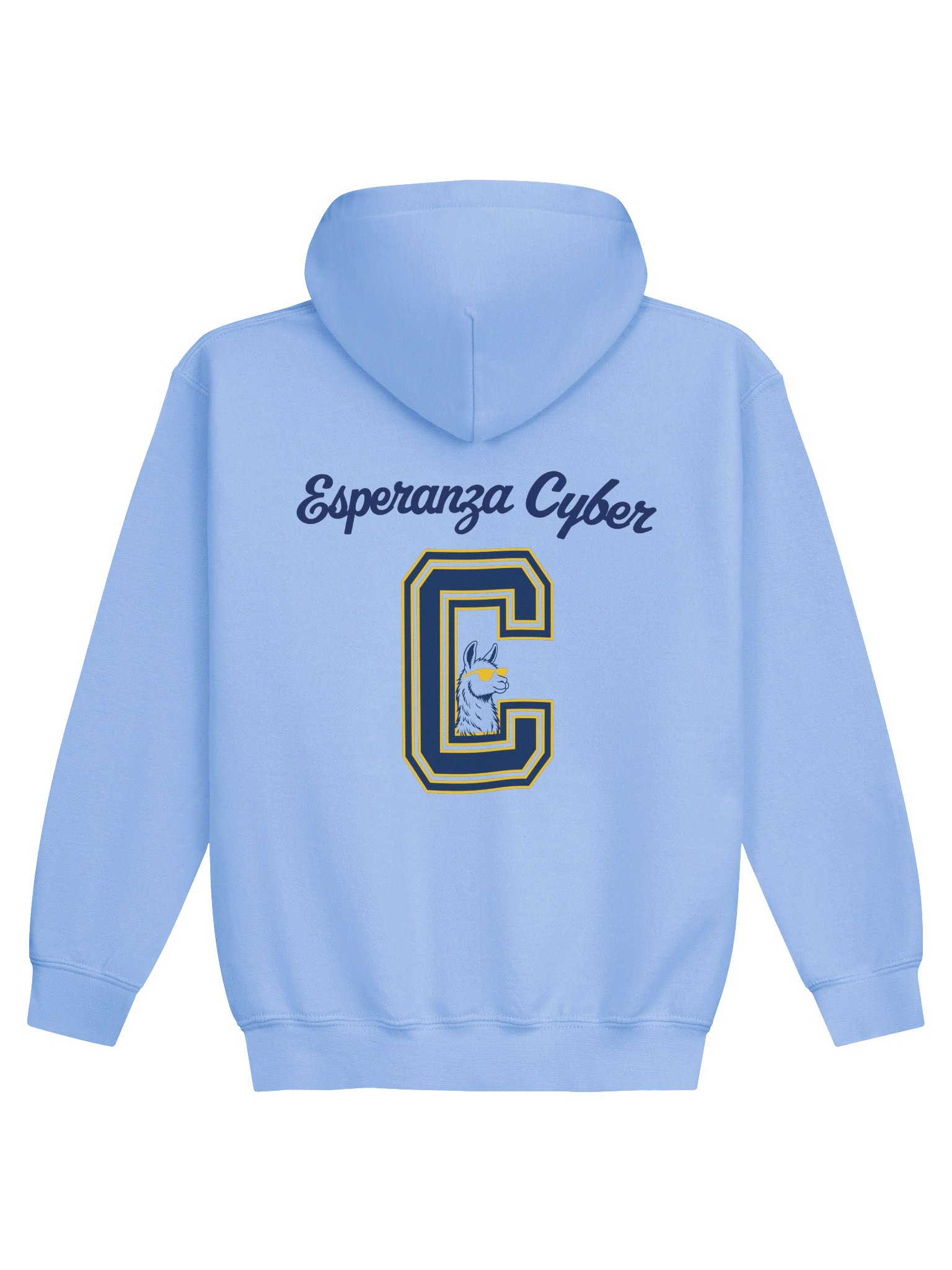 Youth Llama hoodie product image (2)