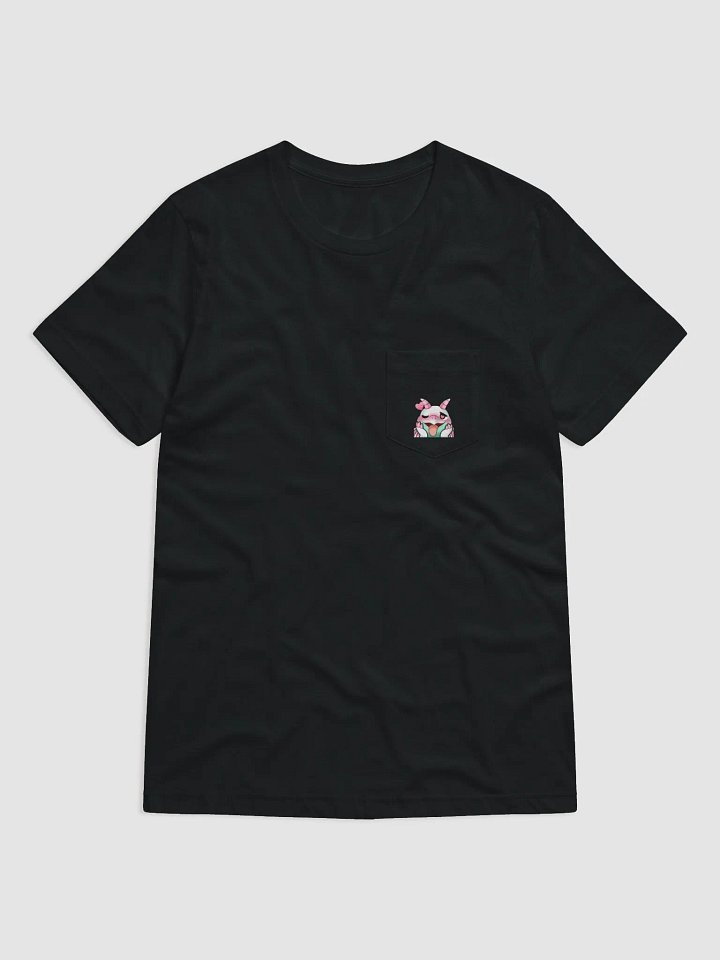 Polaris Pocket T product image (1)