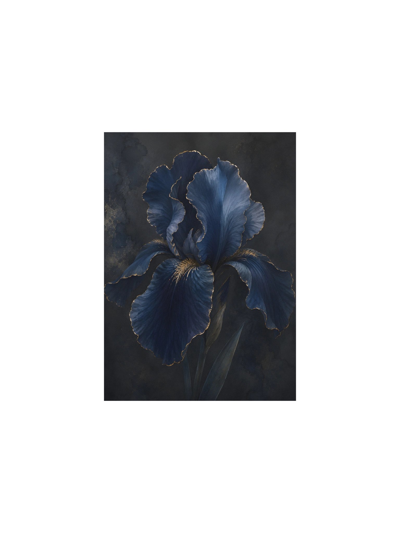 Navy Iris product image (1)