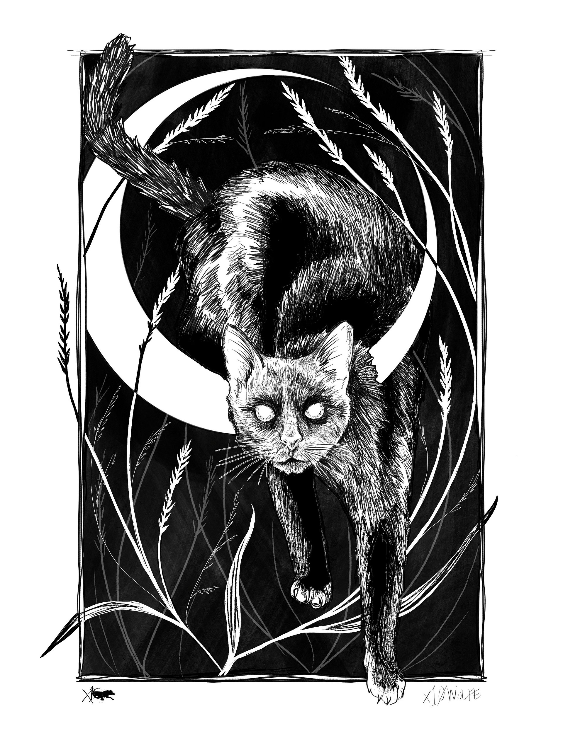 Bad Cat Muscle Tank product image (3)