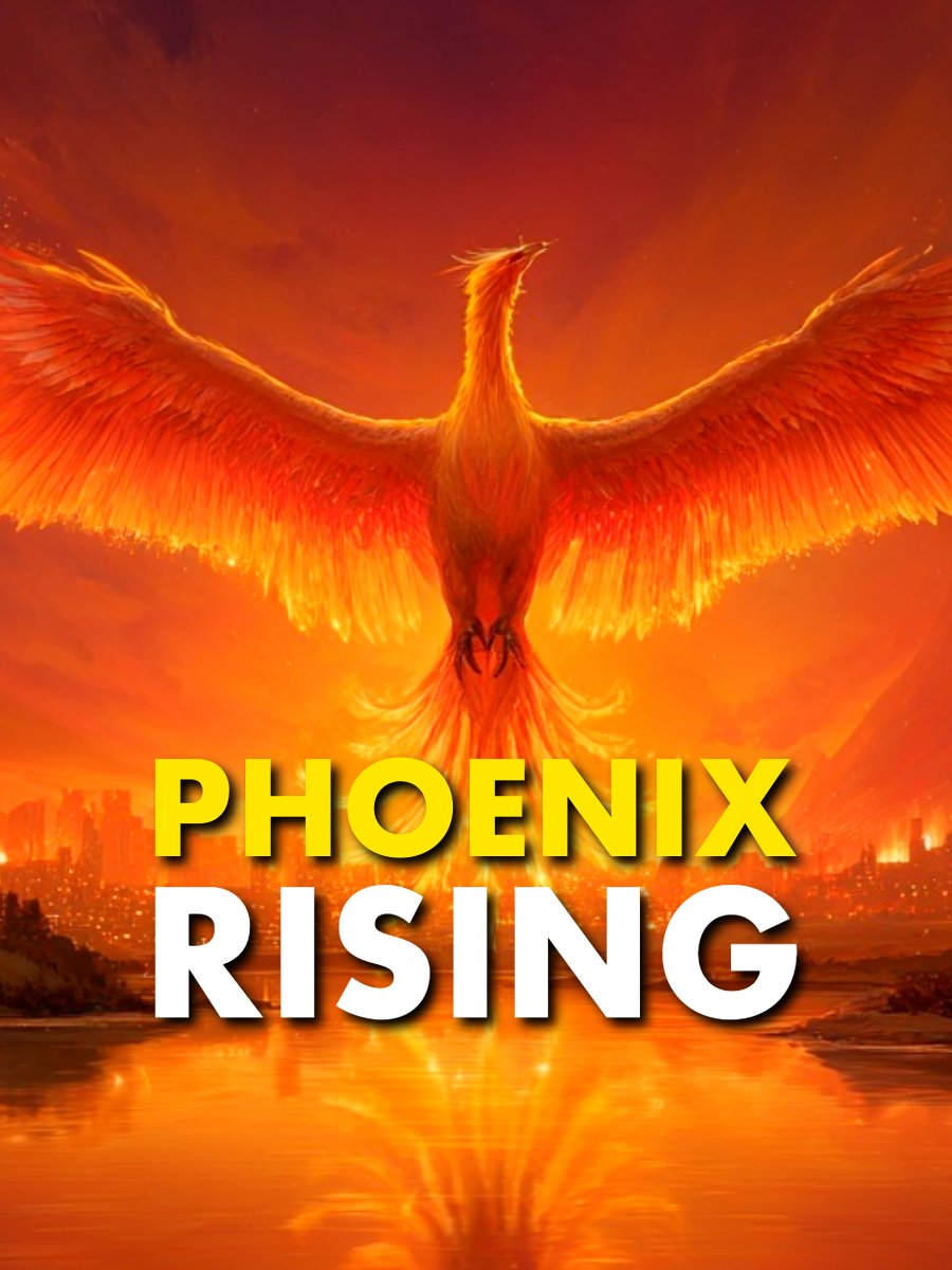 The Darkest Night Creates the Brightest Phoenix product image (1)