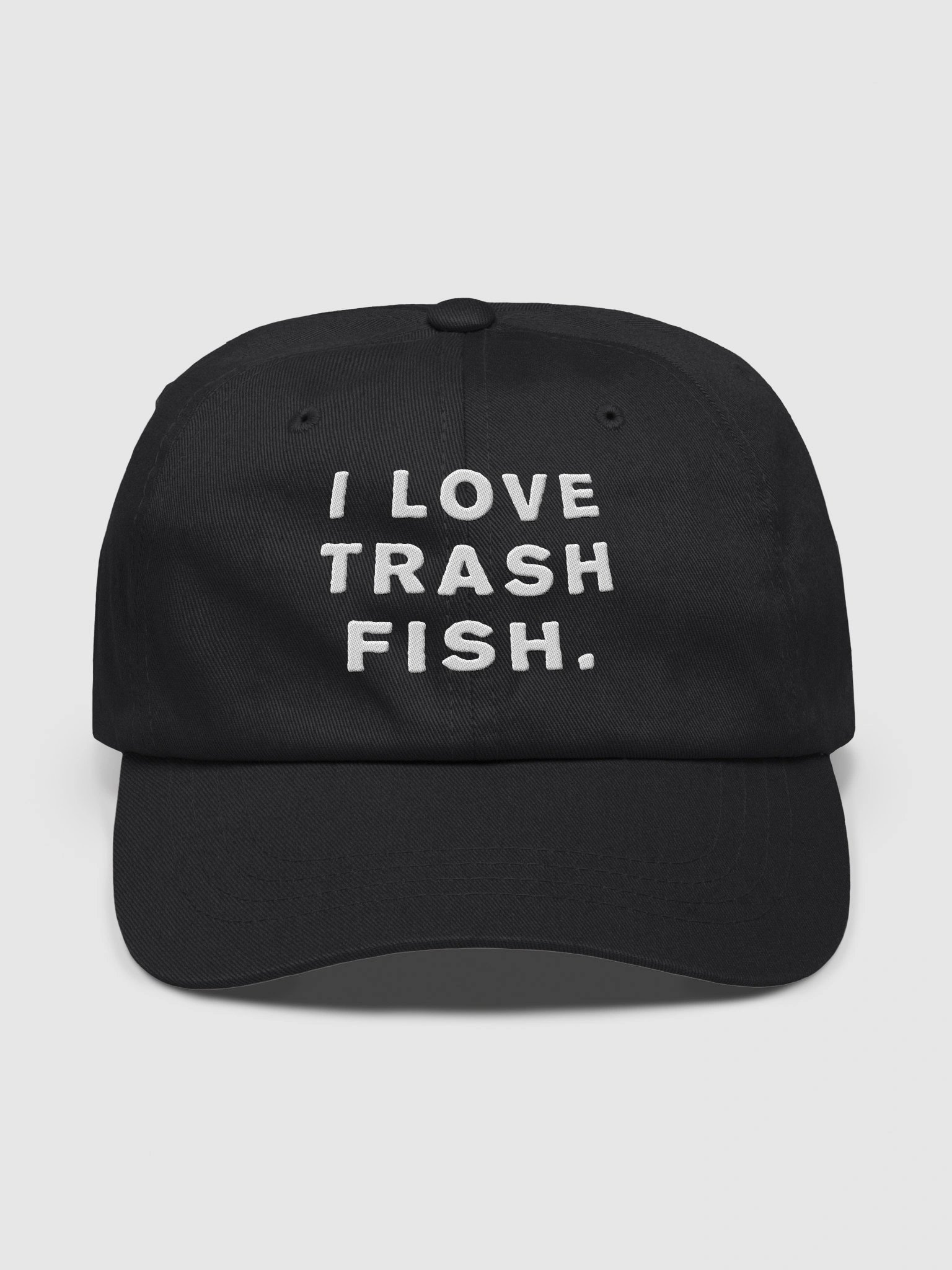 I LOVE TRASH FISH - Dad Hat product image (1)