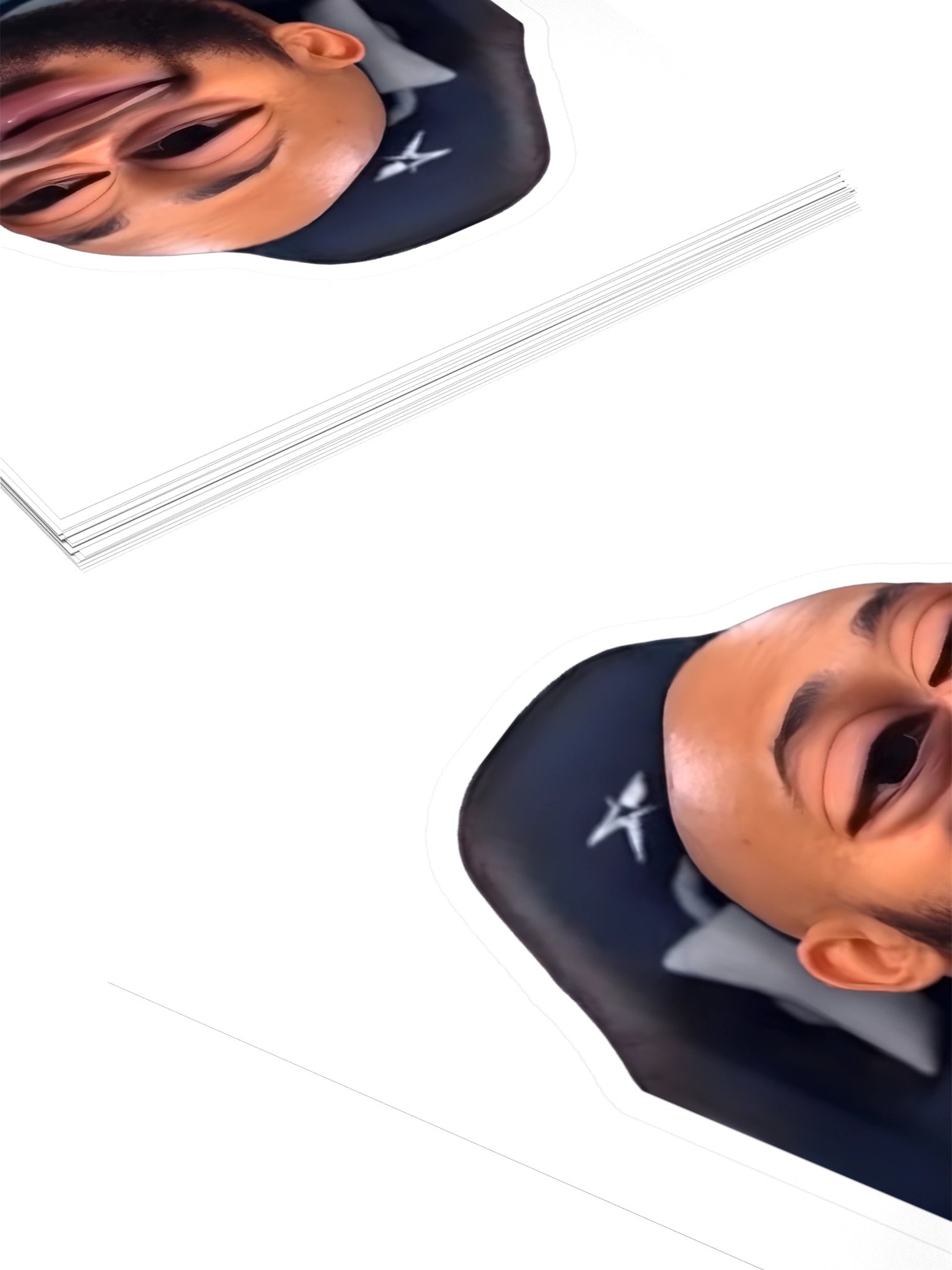 The Buffalo Has Logged On Laptop Sticker product image (4)