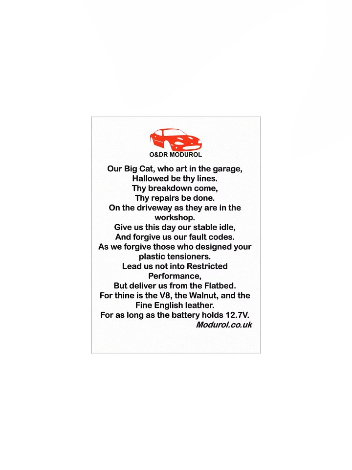 Modurol Premier Contributor - Big Cat Prayer Poster product image (1)