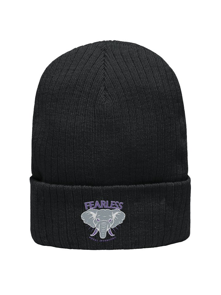 Fearless Moral Inventory Animal Lovers AA Recovery Beanie Hat Purple Design product image (1)