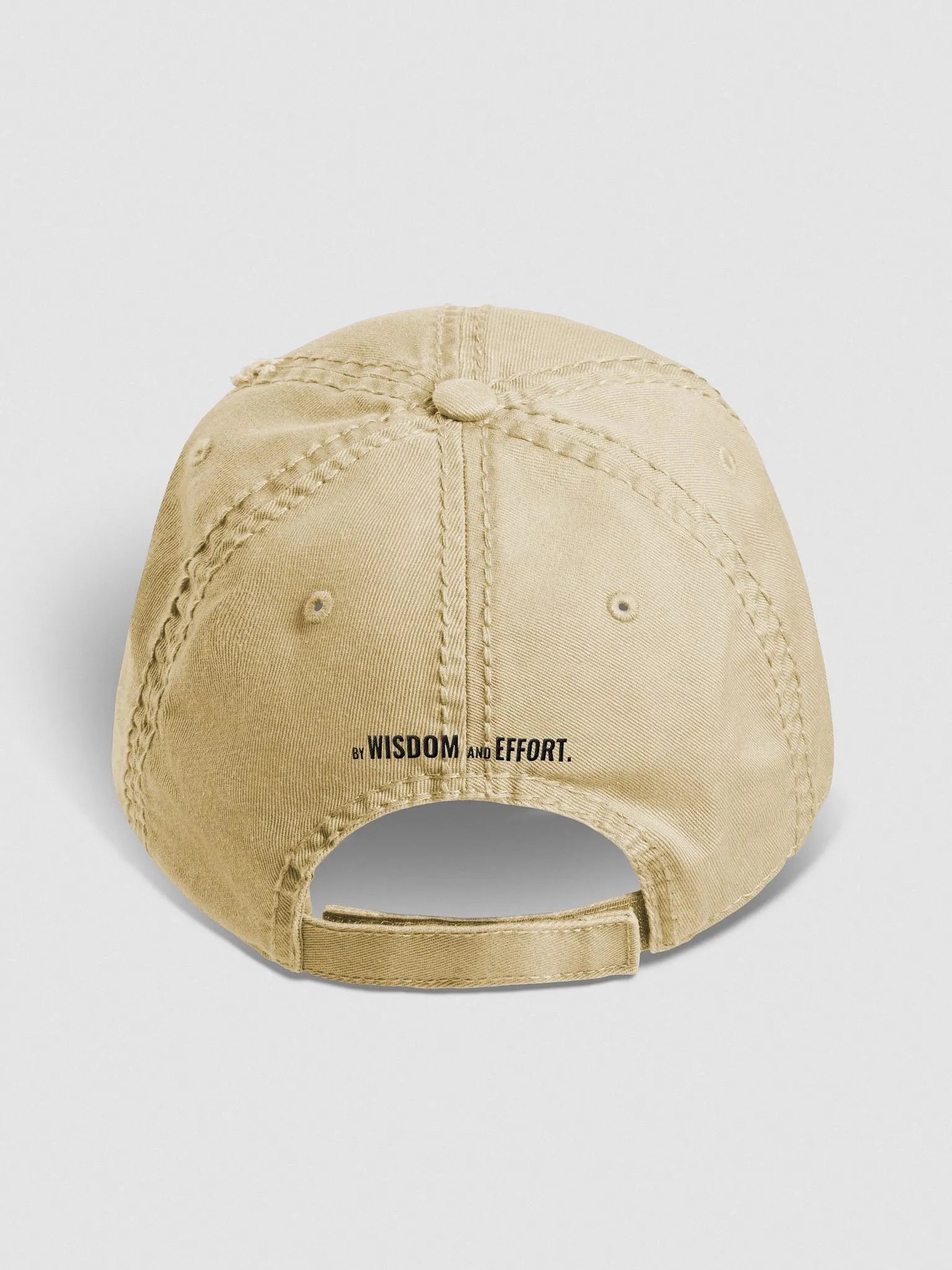 The Distressed Hat product image (4)