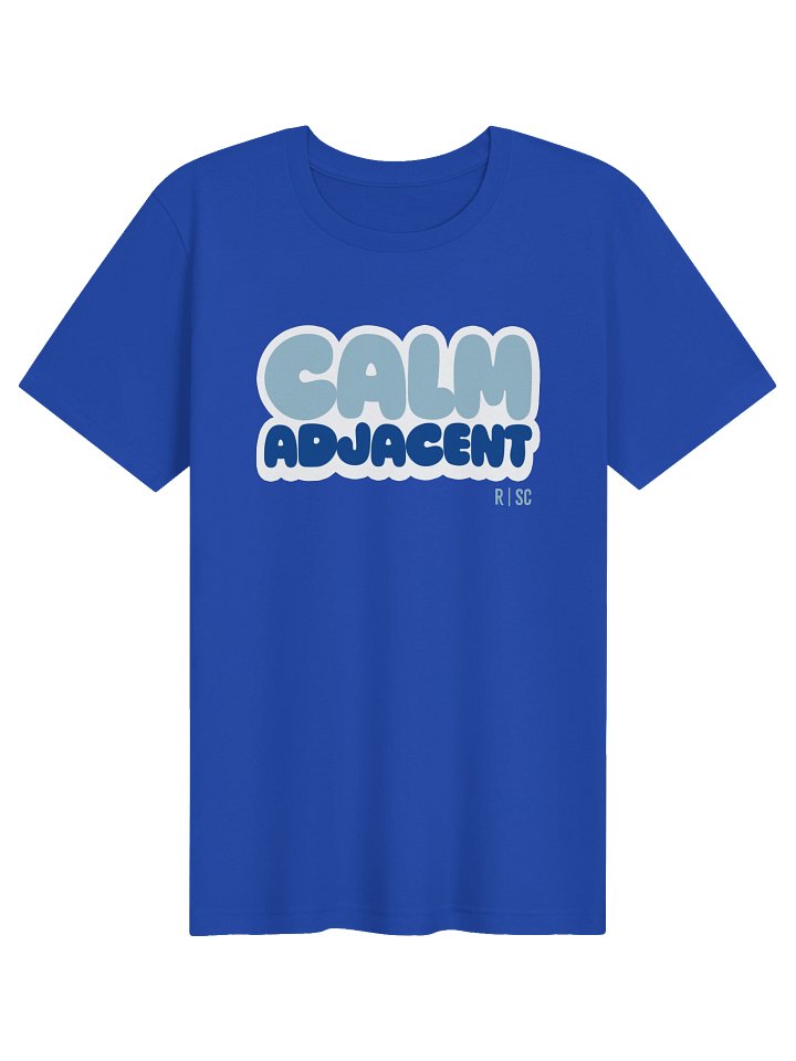 Calm Adjacent T-shirt (Blue) product image (51)