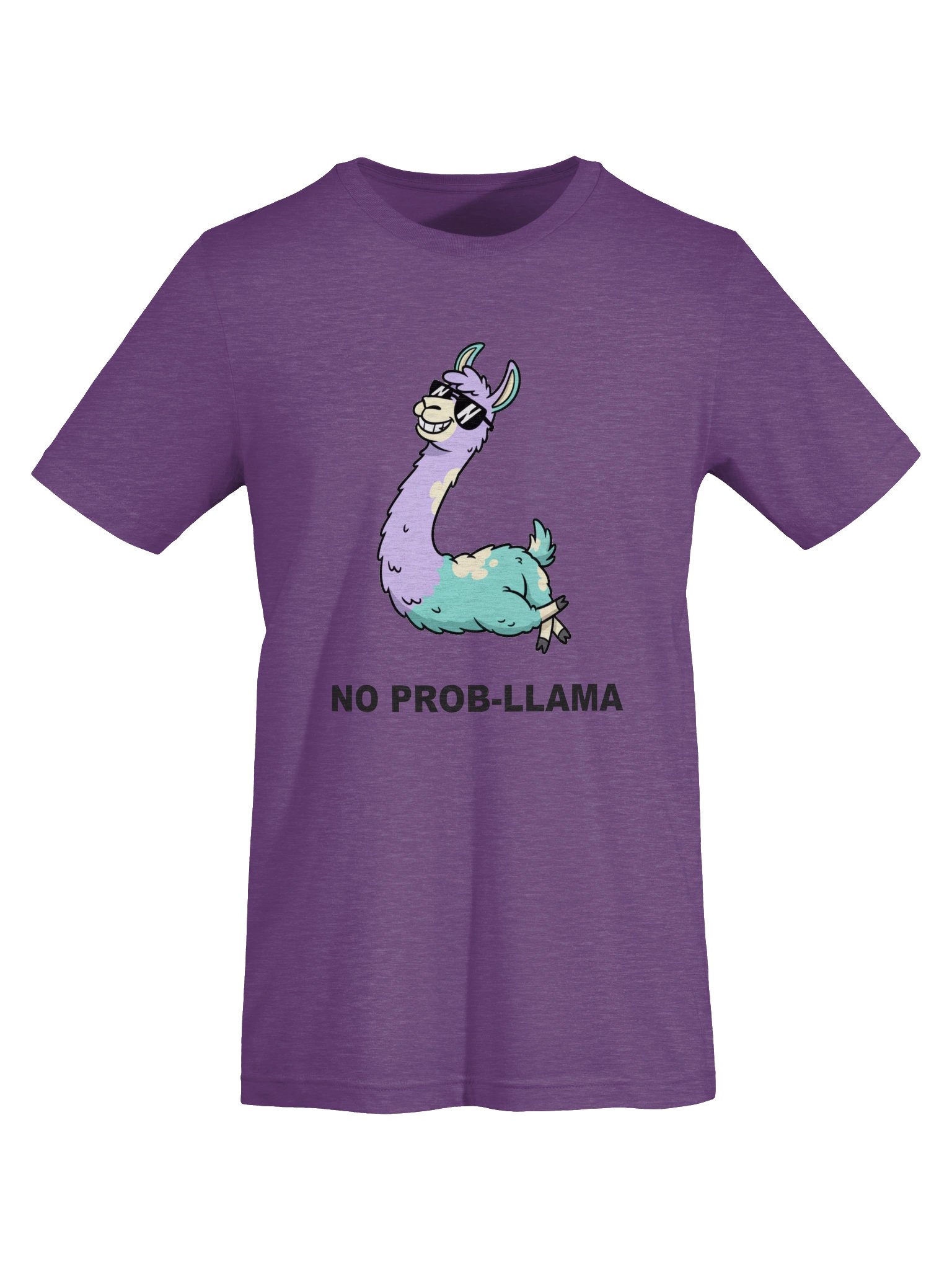 No Prob-Llama Tee product image (45)