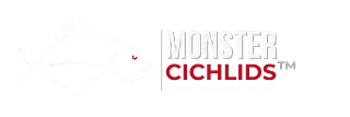 Monster Cichlids