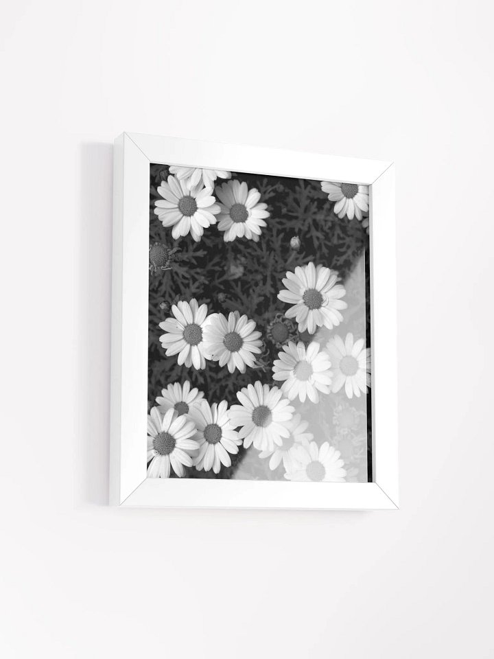 Daisy Flowers - Framed High-Quality Matte Poster product image (2)