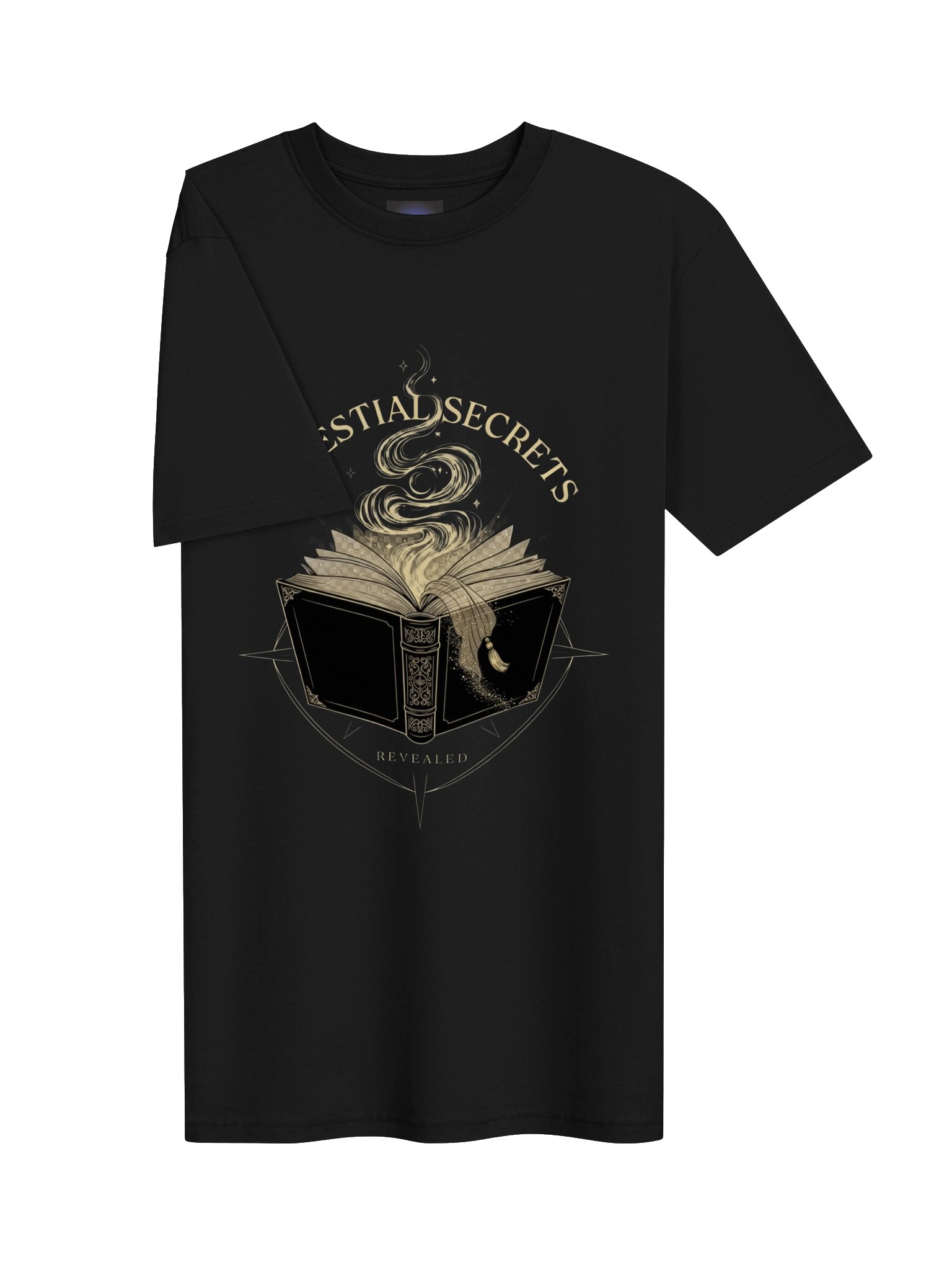 Celestial Secrets // The Forbidden Grimoire Heavyweight Tee product image (5)