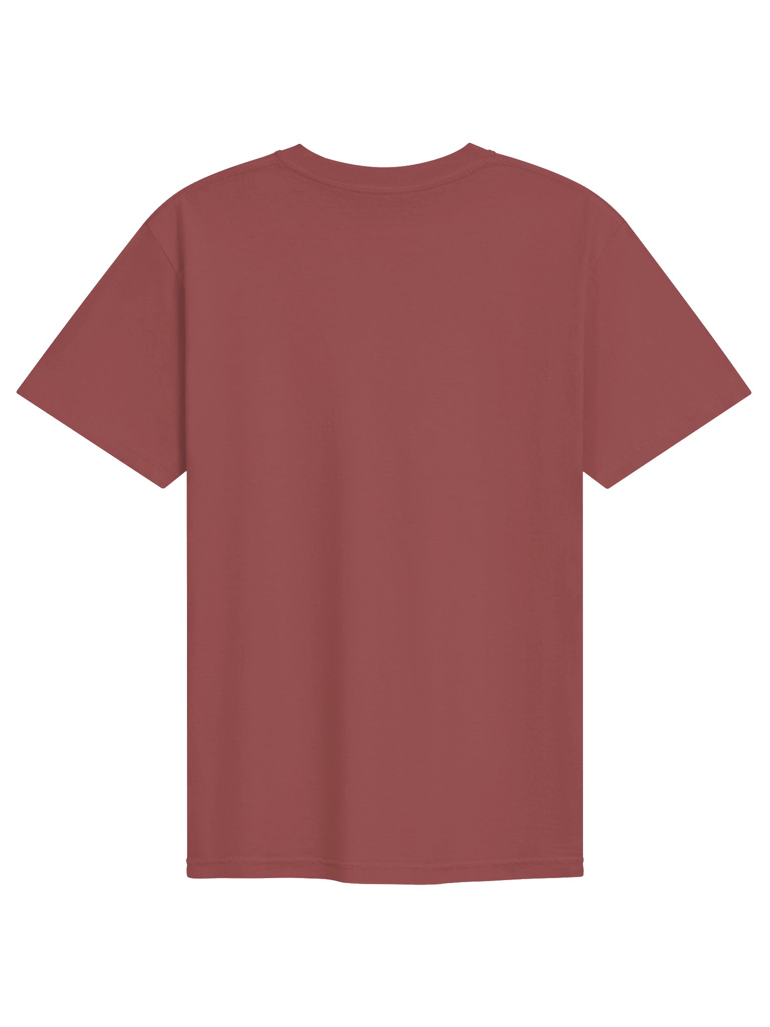 Dodoborne Logo Tee product image (50)