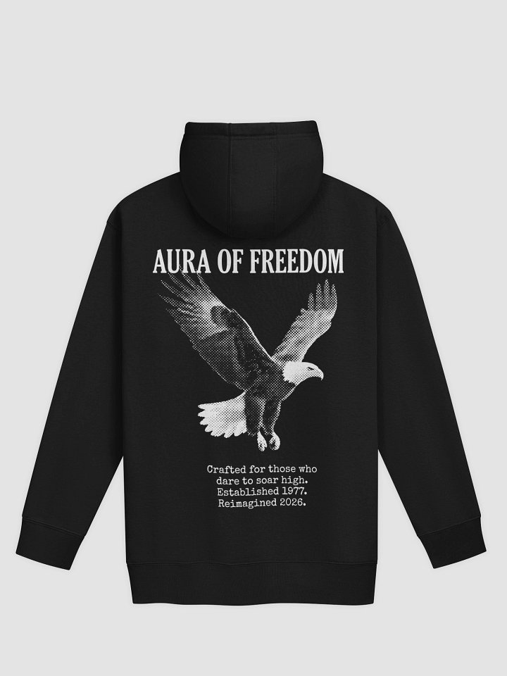 American Eagle Men's "Aura of Freedom" Hoodie - Vintage Eagle Graphic Sweatshirt product image (2)