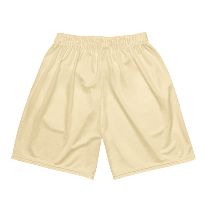 Bristol Orange Brigade Away Shorts product image (2)
