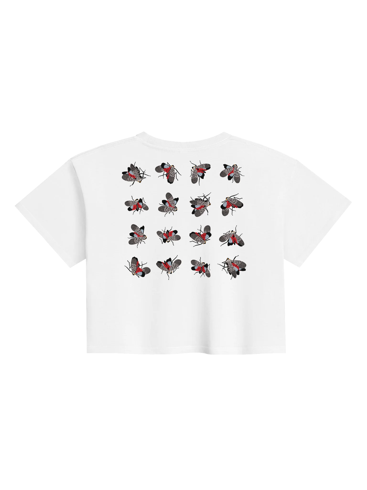 Cropped product image (2)