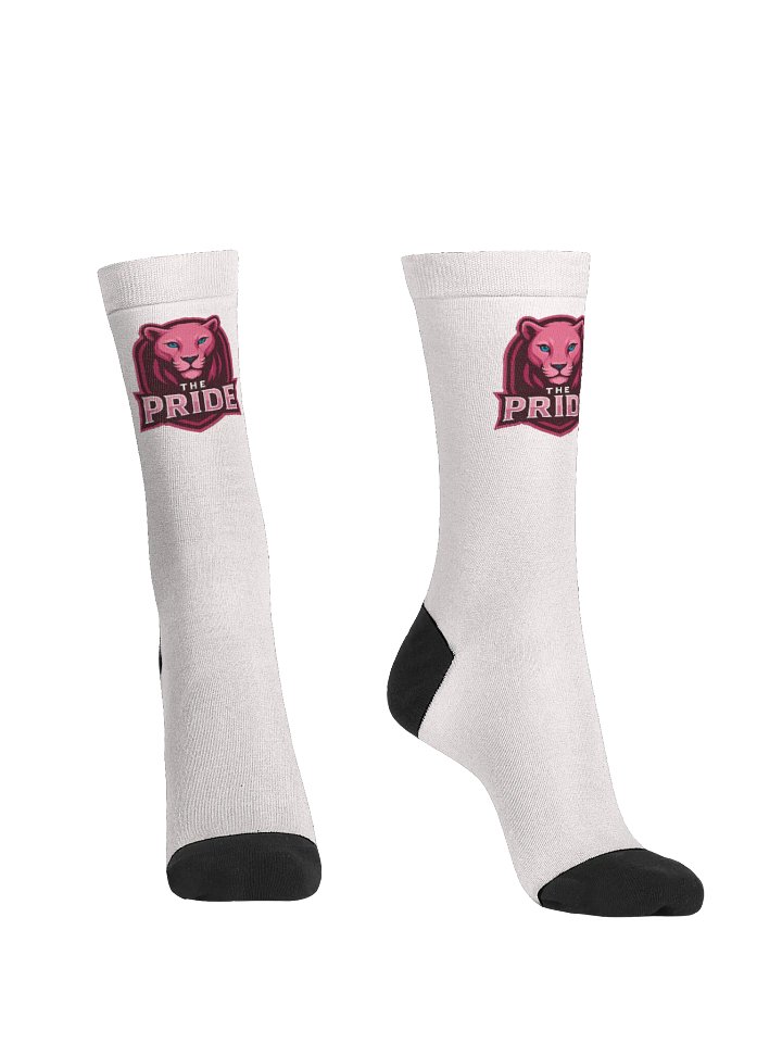 The Pride Socks product image (2)