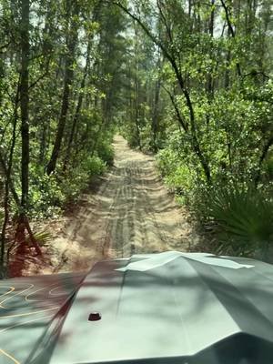 #jeeplife spent the morning in #ocalanationalforest for @onxoffroad @ORACLE Lighting @MidlandUSA @offthegridsurplus #onxoffroad #oraclepitcrew #4x4 