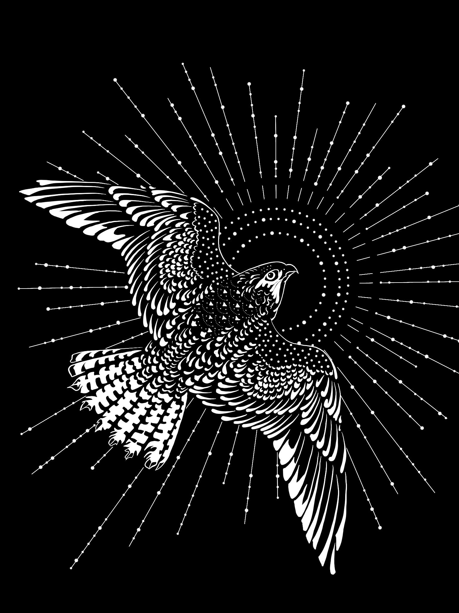 Radiant Falcon Crop Hoodie product image (2)