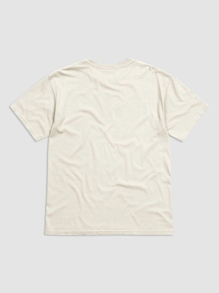 Christian Conspiracy Coalition (Bible Edition) - Heavyweight T-Shirt product image (4)