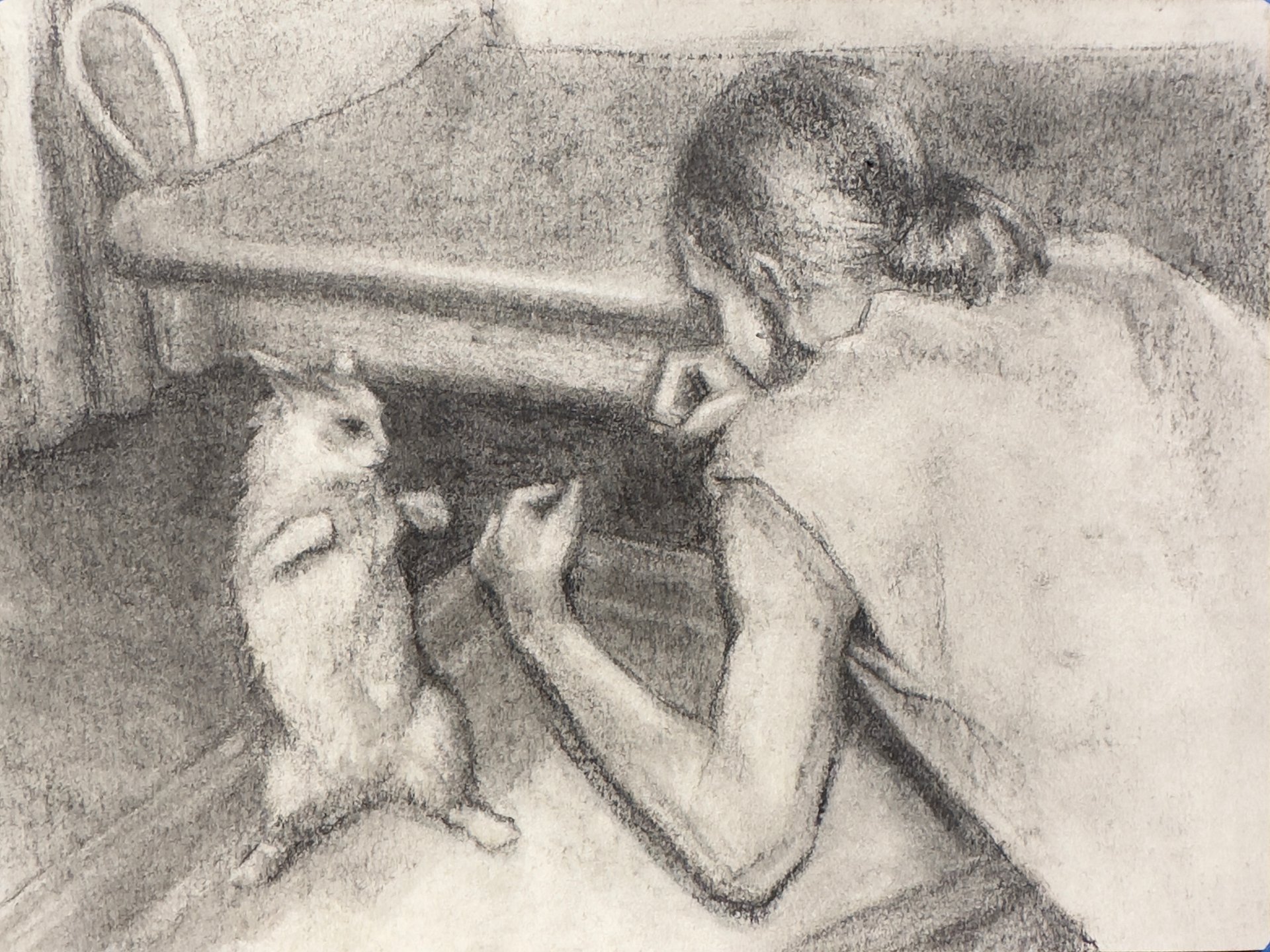 Cat Fight product image (1)