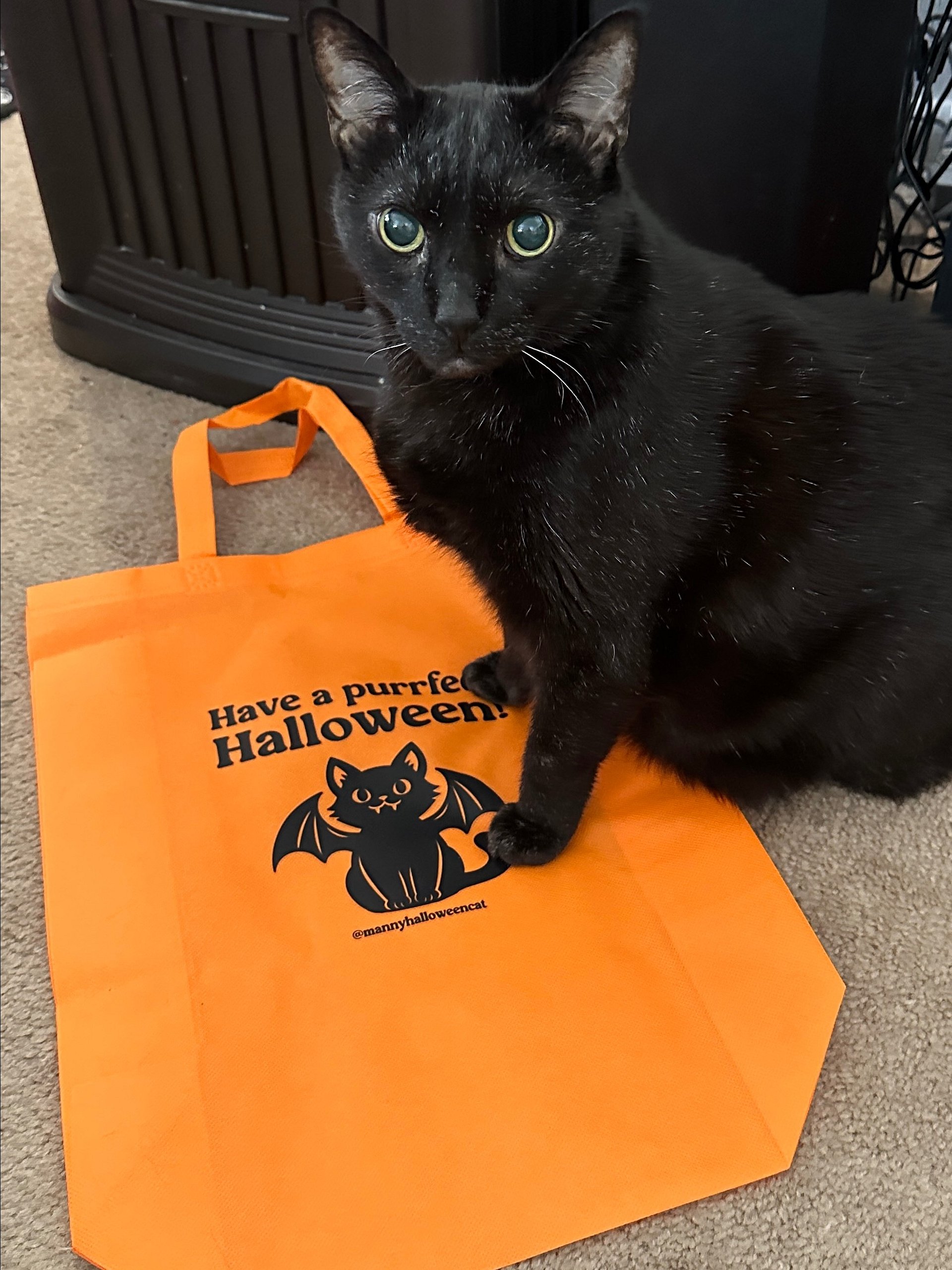 Orange trick-or-treat tote bag product image (2)