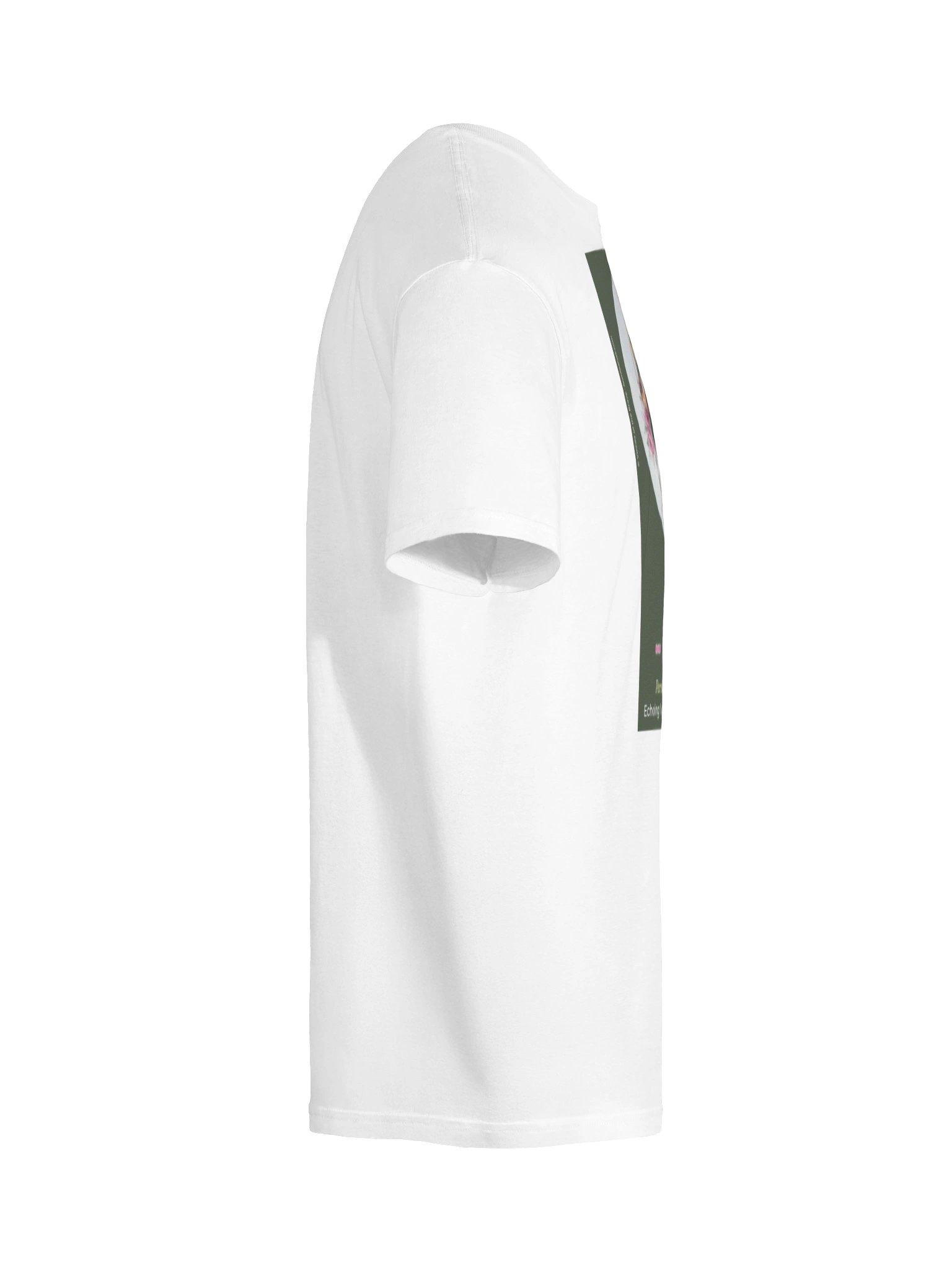 The Fish (Sabzi Polo bâ Mâhi), Green product image (18)