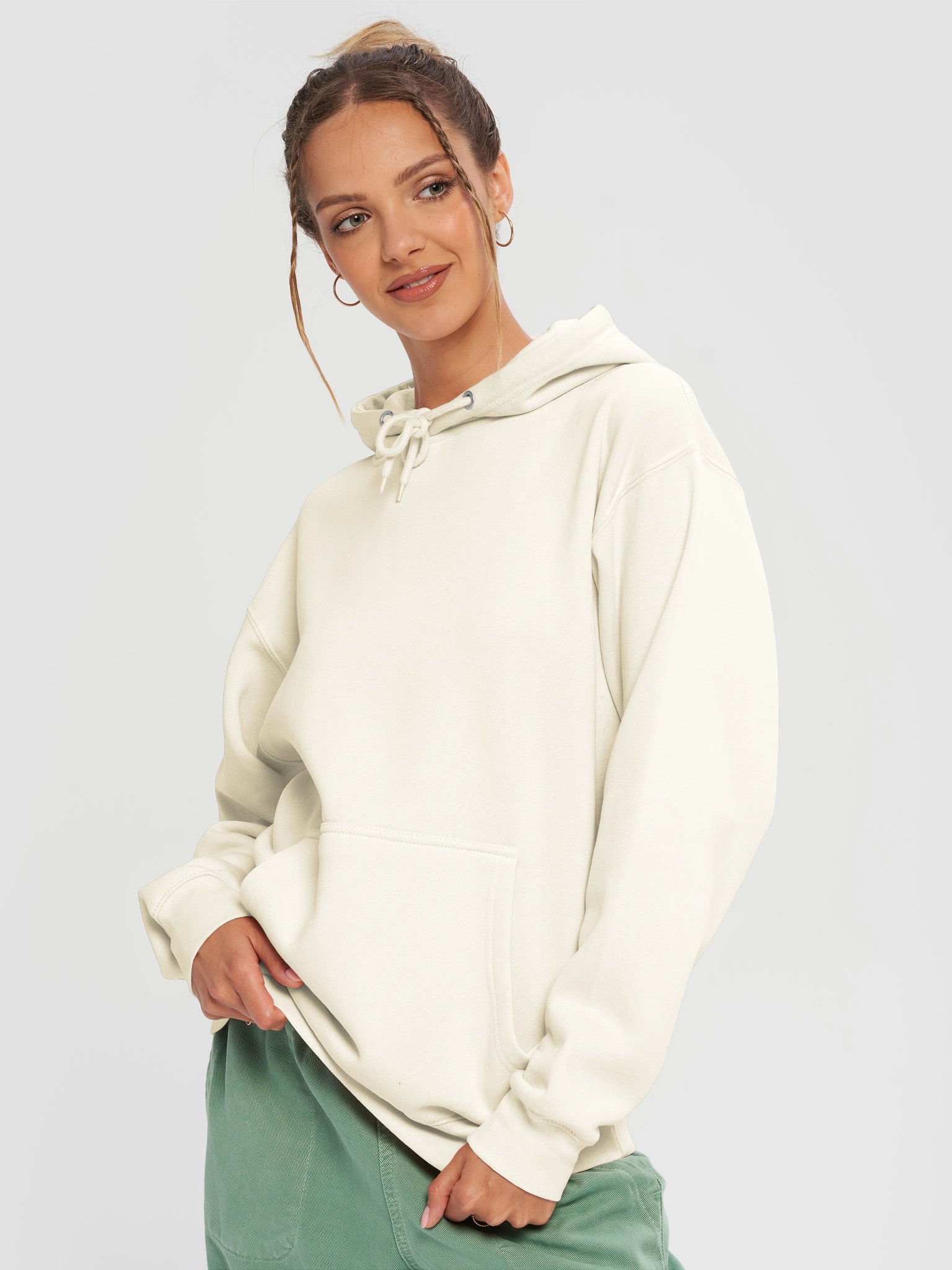 Absolutely No Plan Goose Hoodie 🪿 Funny Vintage Goose Sweatshirt product image (4)