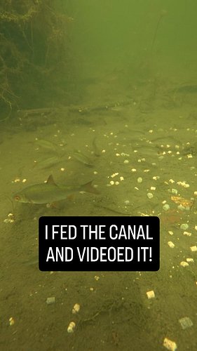 I dropped some pellet mix into the canal and videoed fish feeding! 

Follow me for more underwater camera action!

#fish #und...