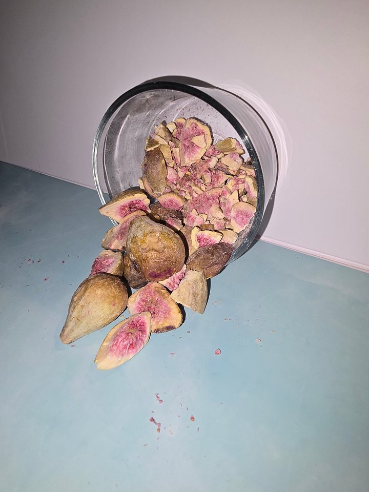 FIGS product image (1)