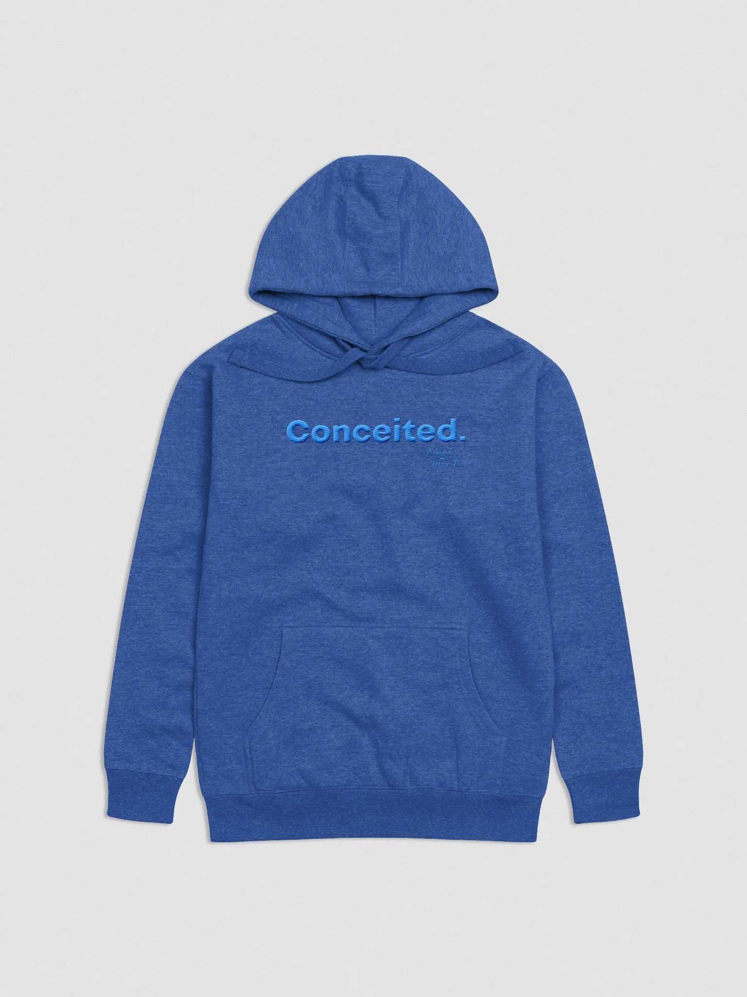 Concieted Embroidered Hoodie F&E1 product image (2)