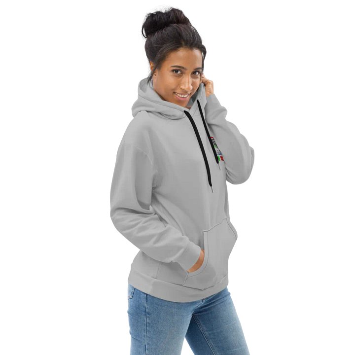 Lenny Brown Late Model Hoodie (Grey) product image (2)