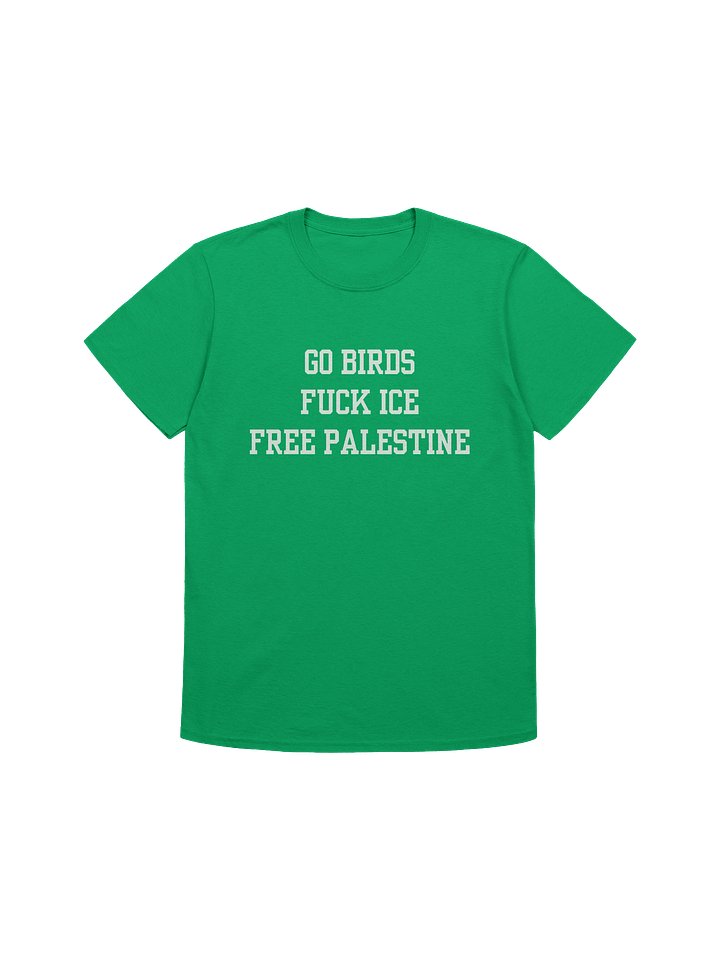 Go Birds! Fuck ICE! Free Palestine! product image (1)