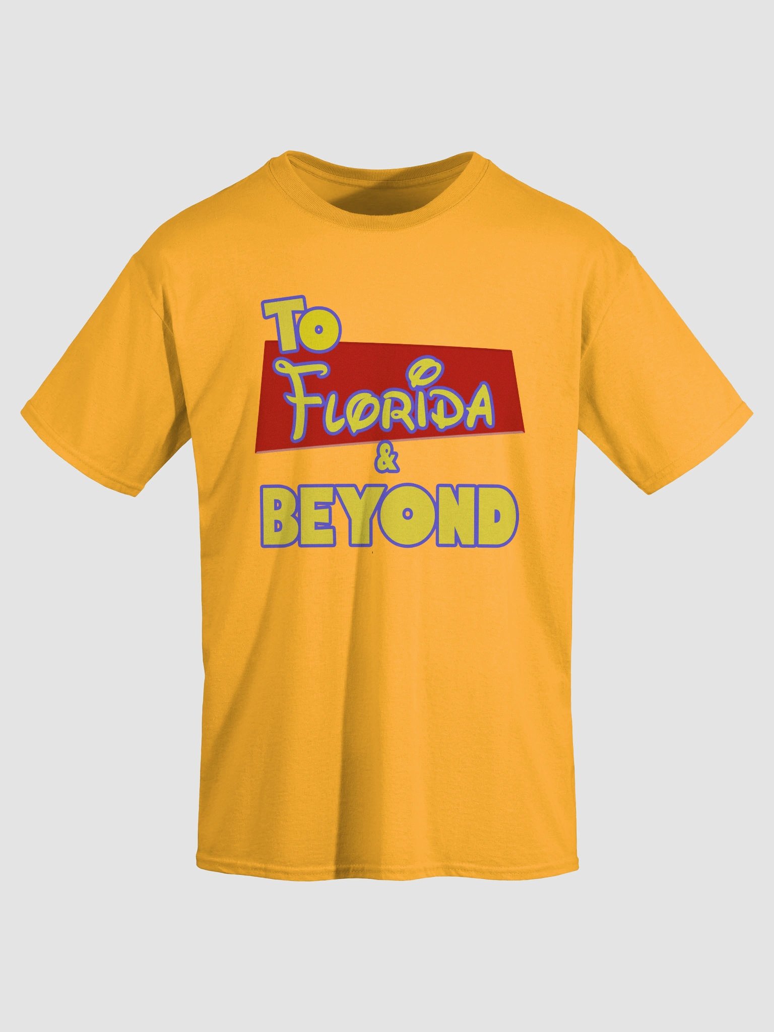 To Florida & Beyond T-Shirt product image (26)