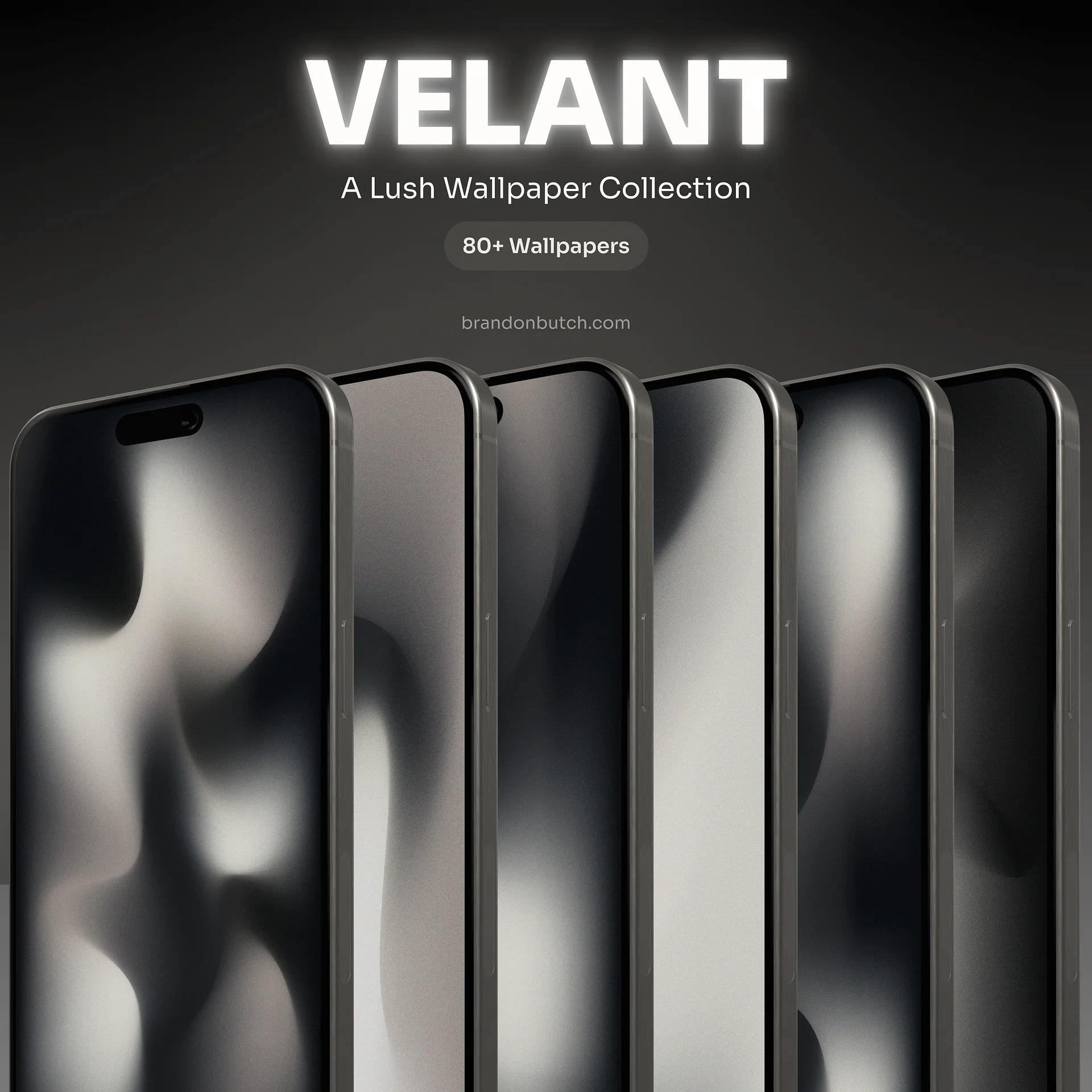 VELANT product image (10)