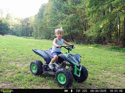 Teach them early to check those cameras #reveal #tactacam #cellcamera #hunting #fyp