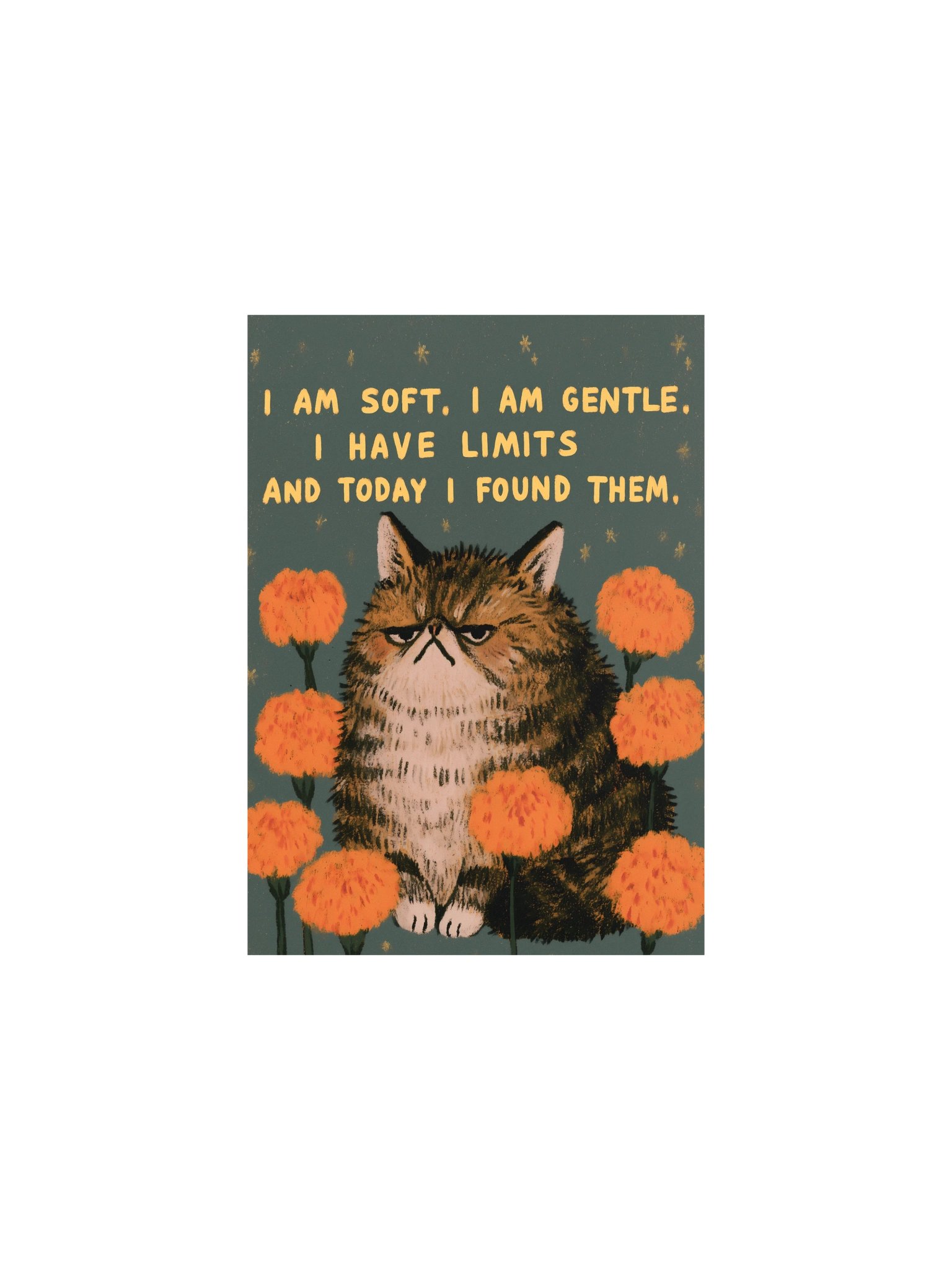Grumpy Cat Limits Poster product image (1)