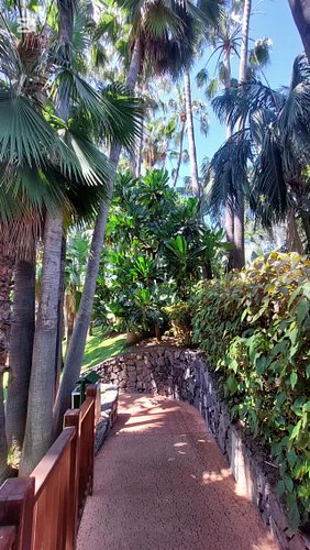 Loro Parque in Tenerife is a beautiful place that everyone should visit. 

Beautiful place = happy moments ✨️ 

#tenerife #su...