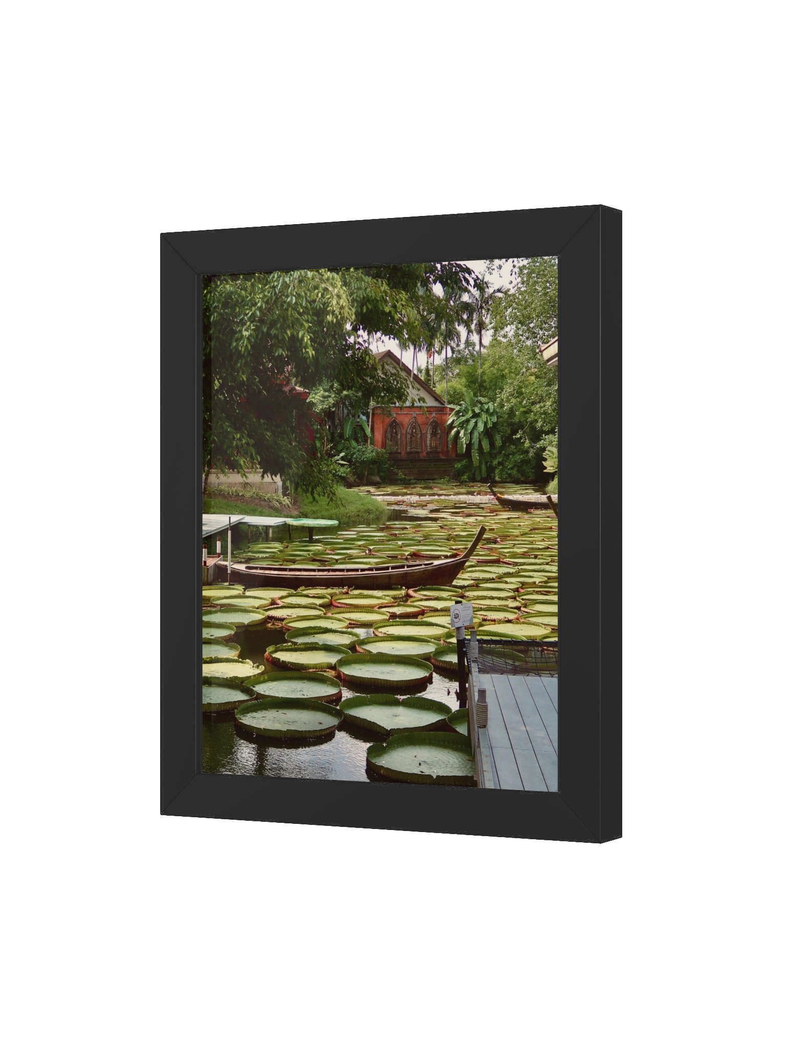 Phuket Lily Pad product image (37)