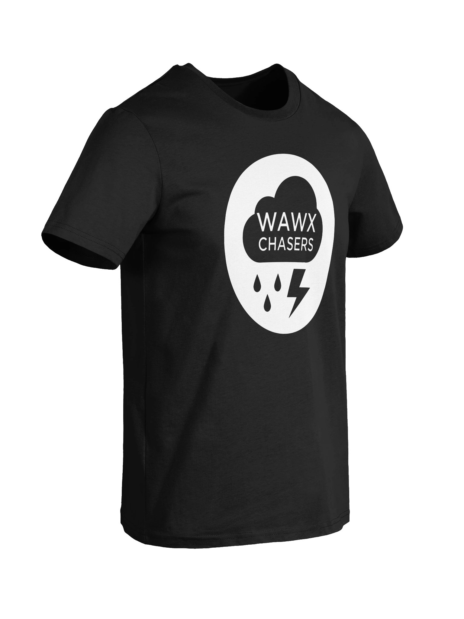 Evergreen Organic Logo Tee product image (6)