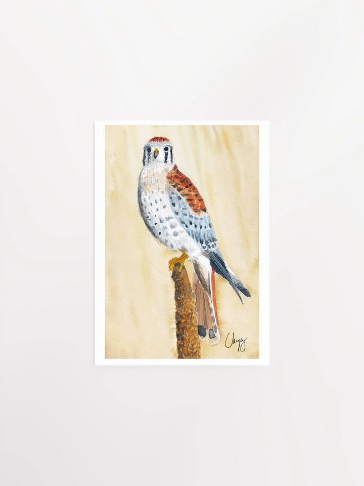 Kestrel Print product image (1)