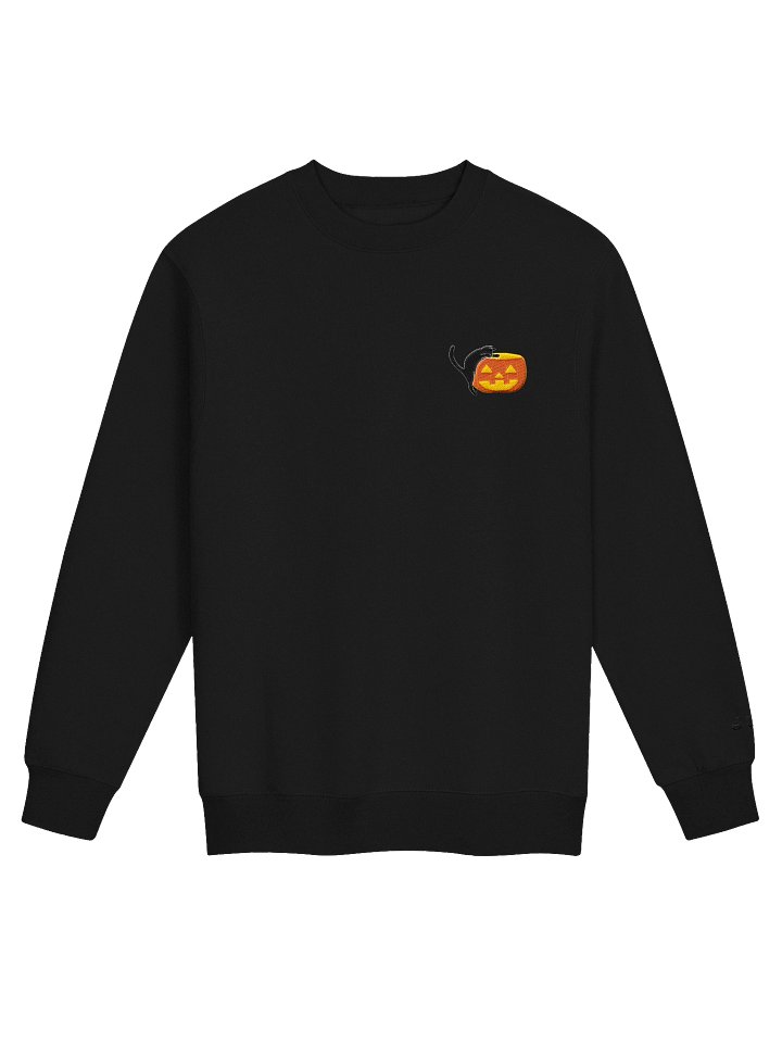 Curious Cat (Crewneck) product image (2)
