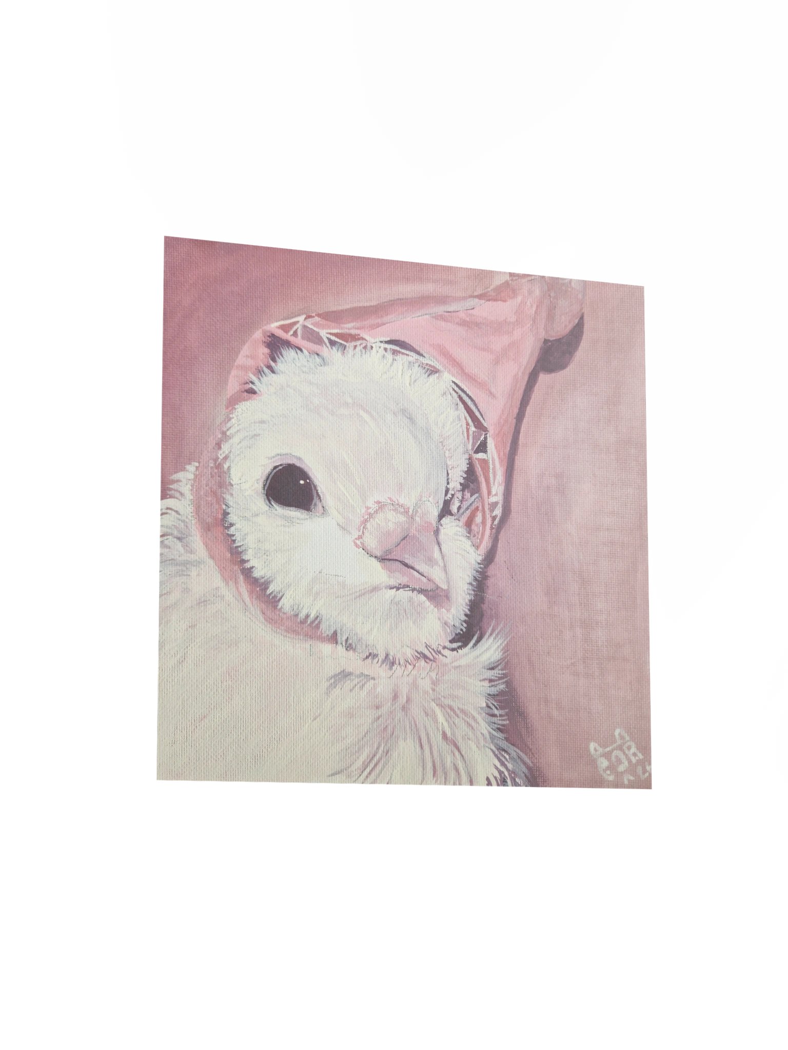 Hat Pigeon print product image (12)