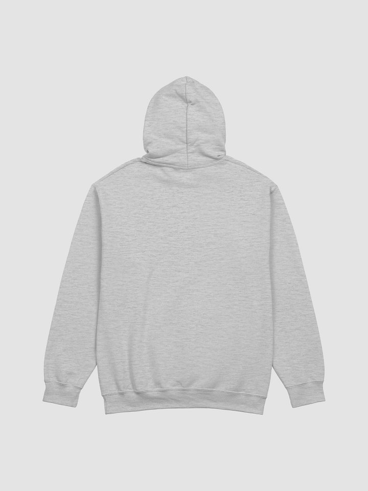 SERHANT. Florida Grey Hoodie product image (2)