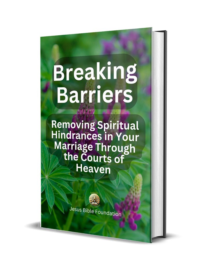 Breaking Barriers: Removing Spiritual Hindrances in Your Marriage Through the Courts of Heaven product image (1)