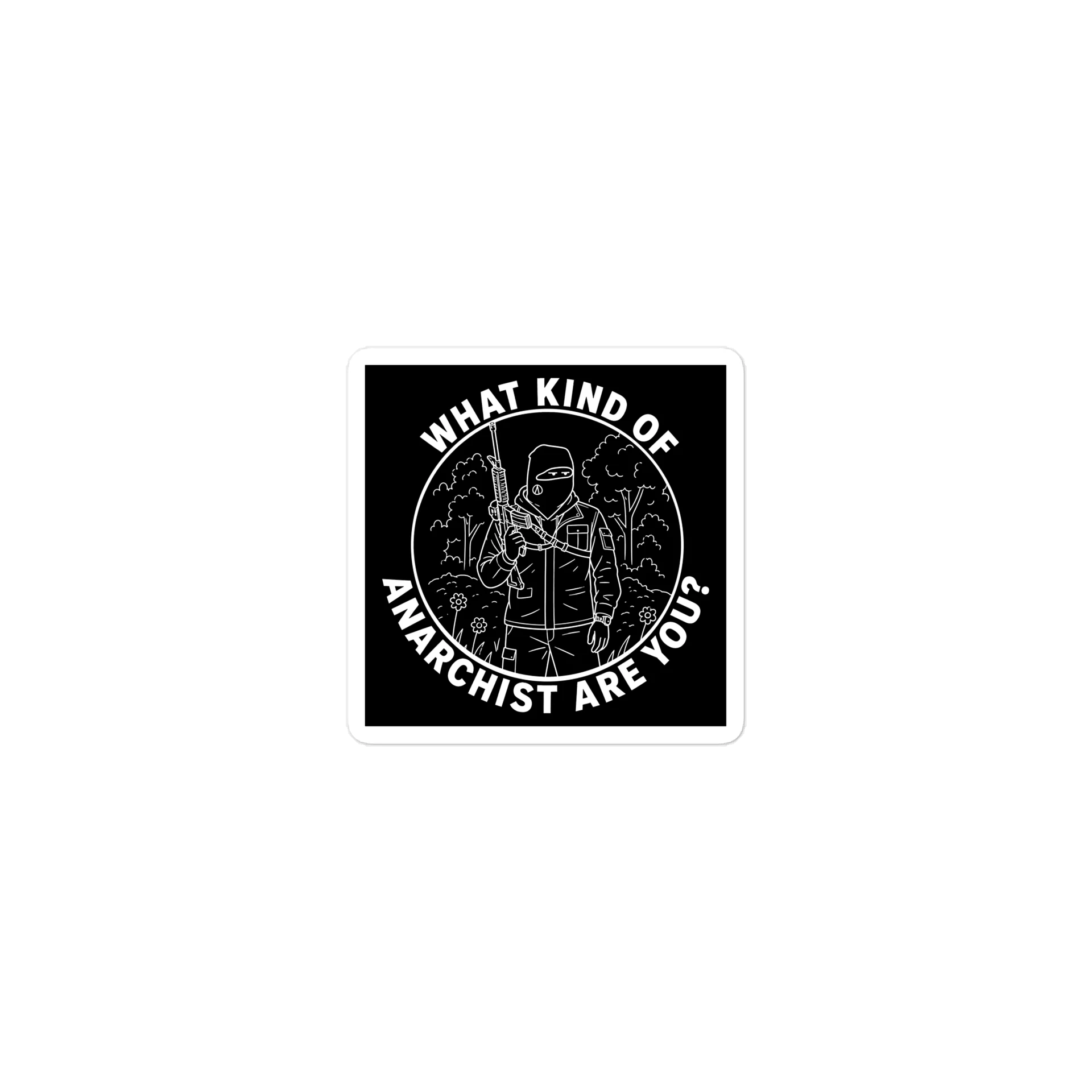 WHAT KIND OF ANARCHIST ARE YOU? product image (1)