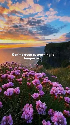 If this message found you at the right time, follow for daily reminders that help quiet your mind and bring peace 🧠✨

#InnerP...